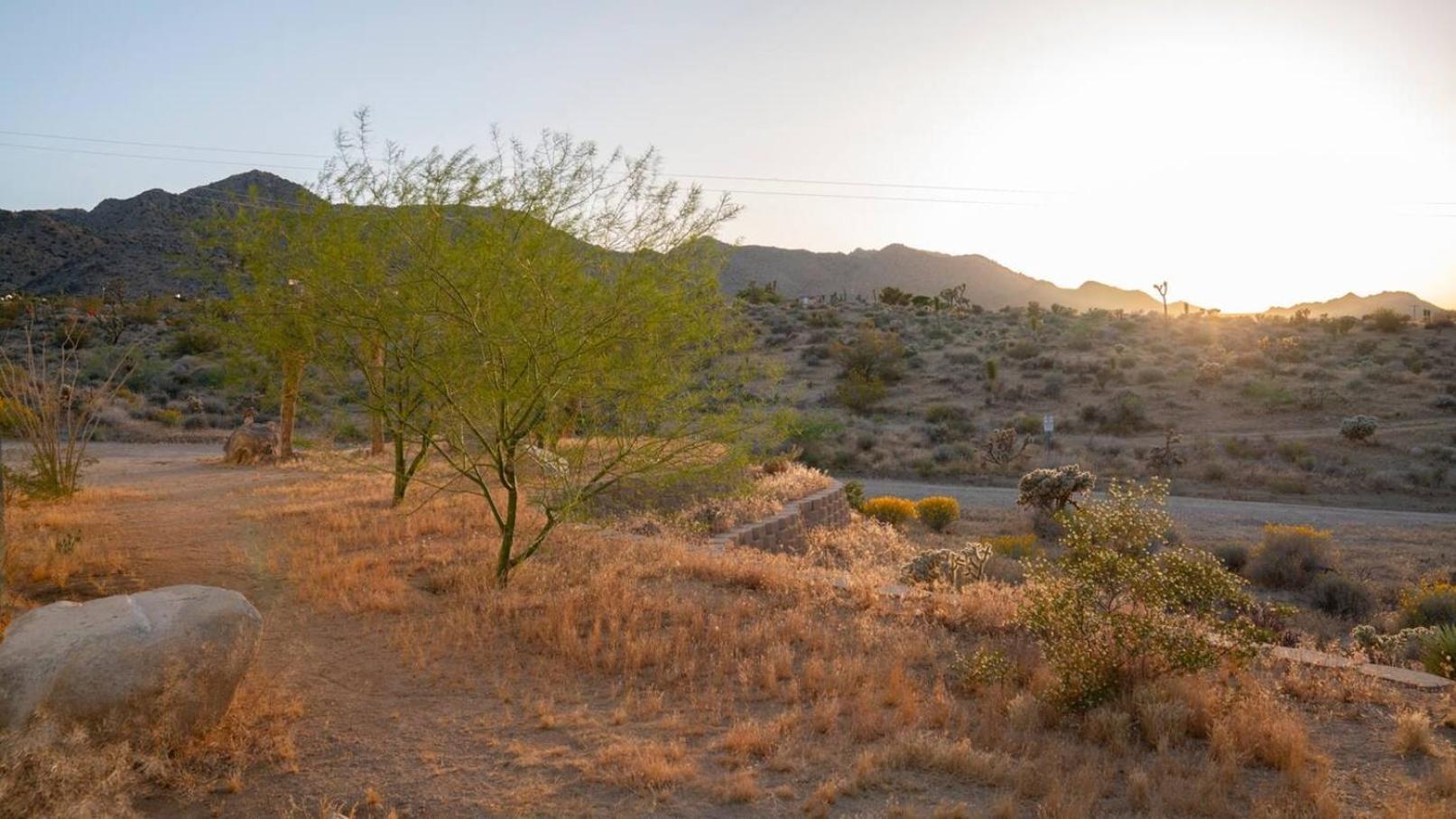 Experience Desert Serenity Gateway To Joshua Tree Kültér fotó