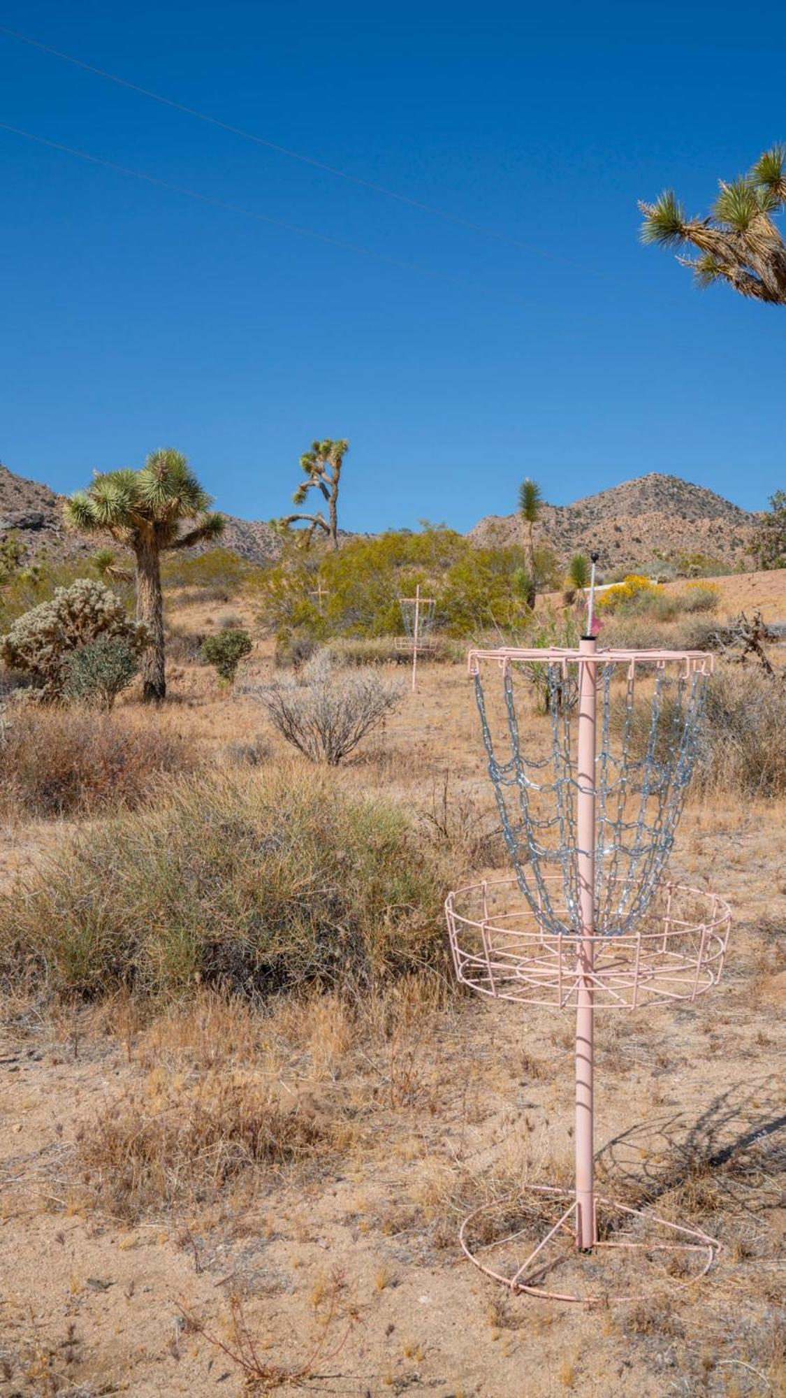 Experience Desert Serenity Gateway To Joshua Tree Kültér fotó
